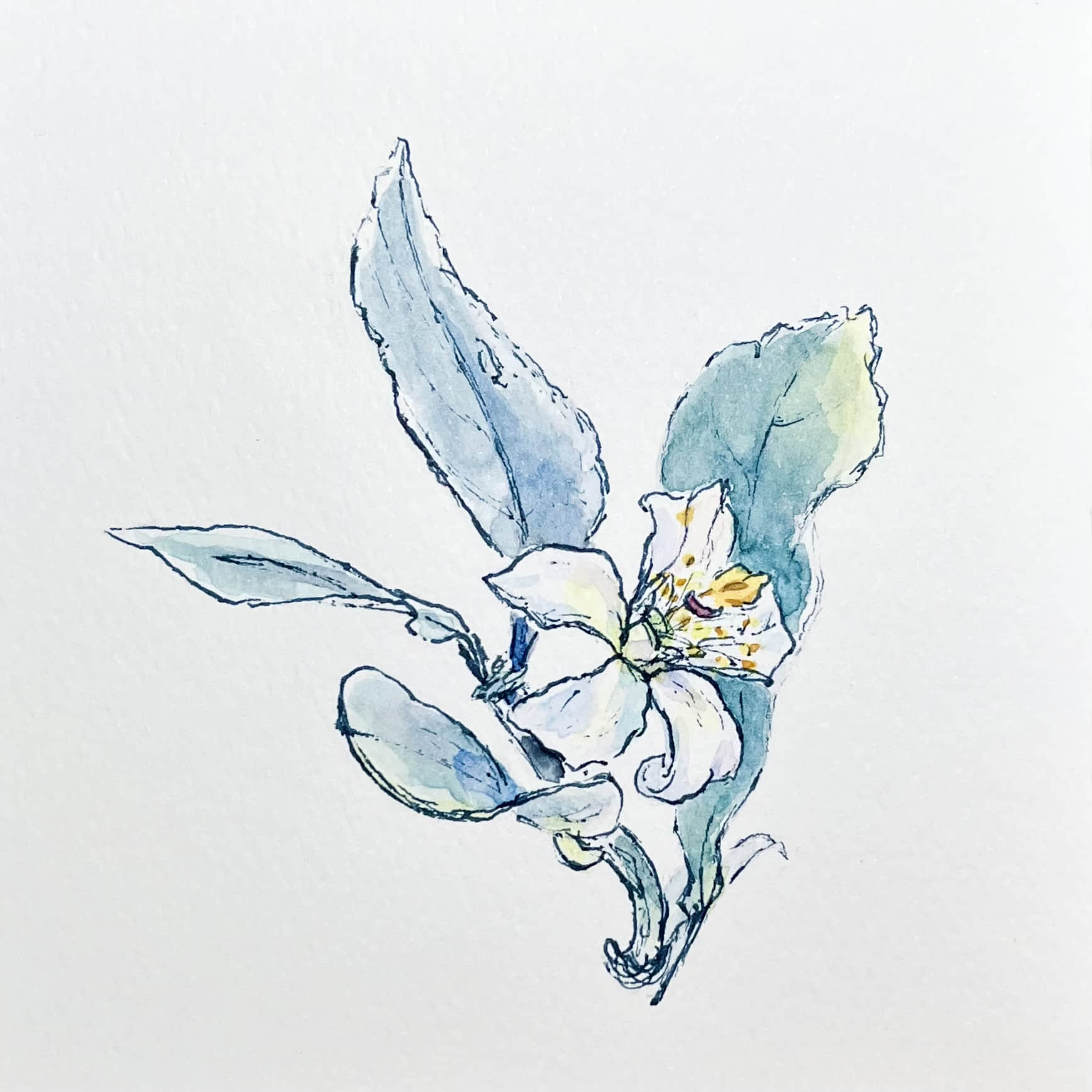 Illustration 9