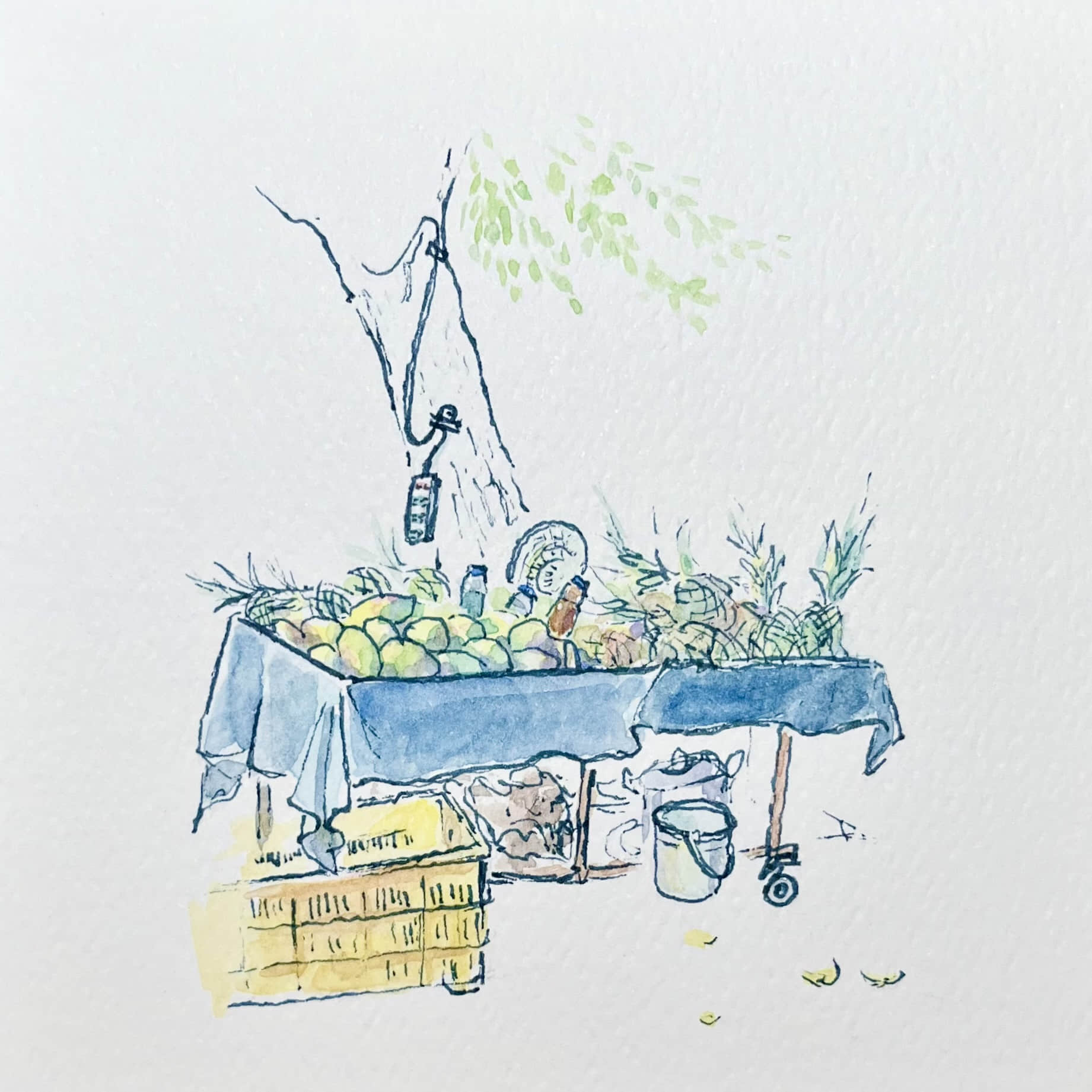 Illustration 6