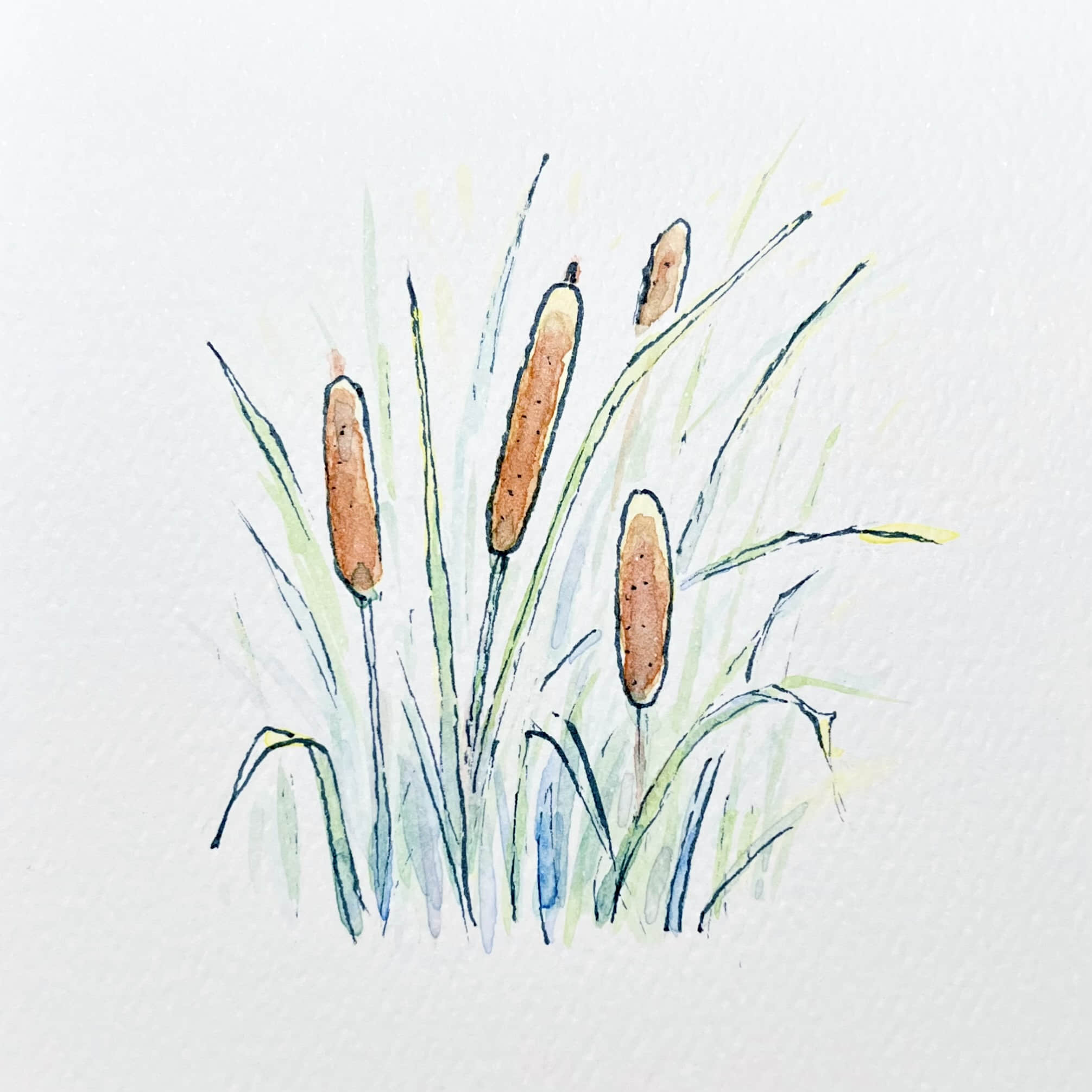 Illustration 2