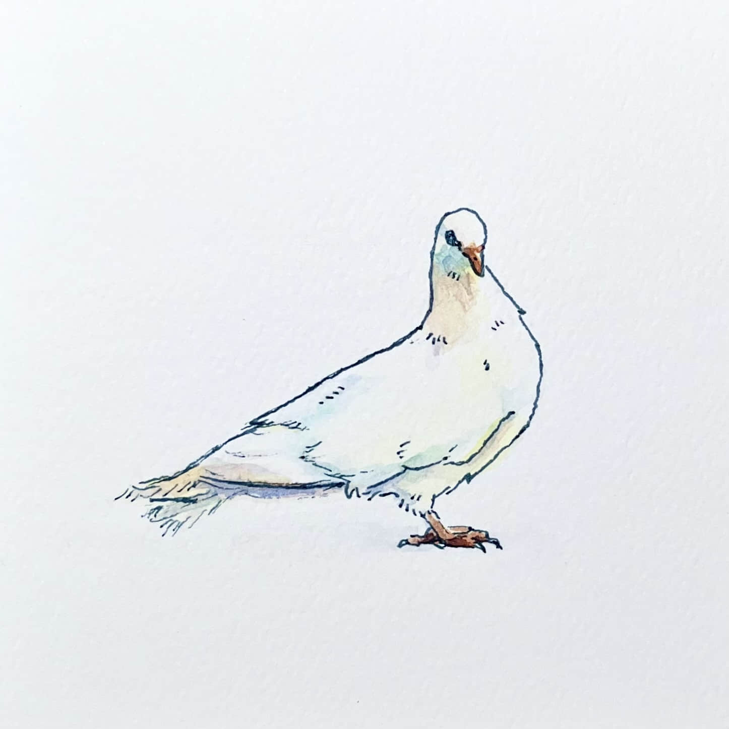 Illustration 9