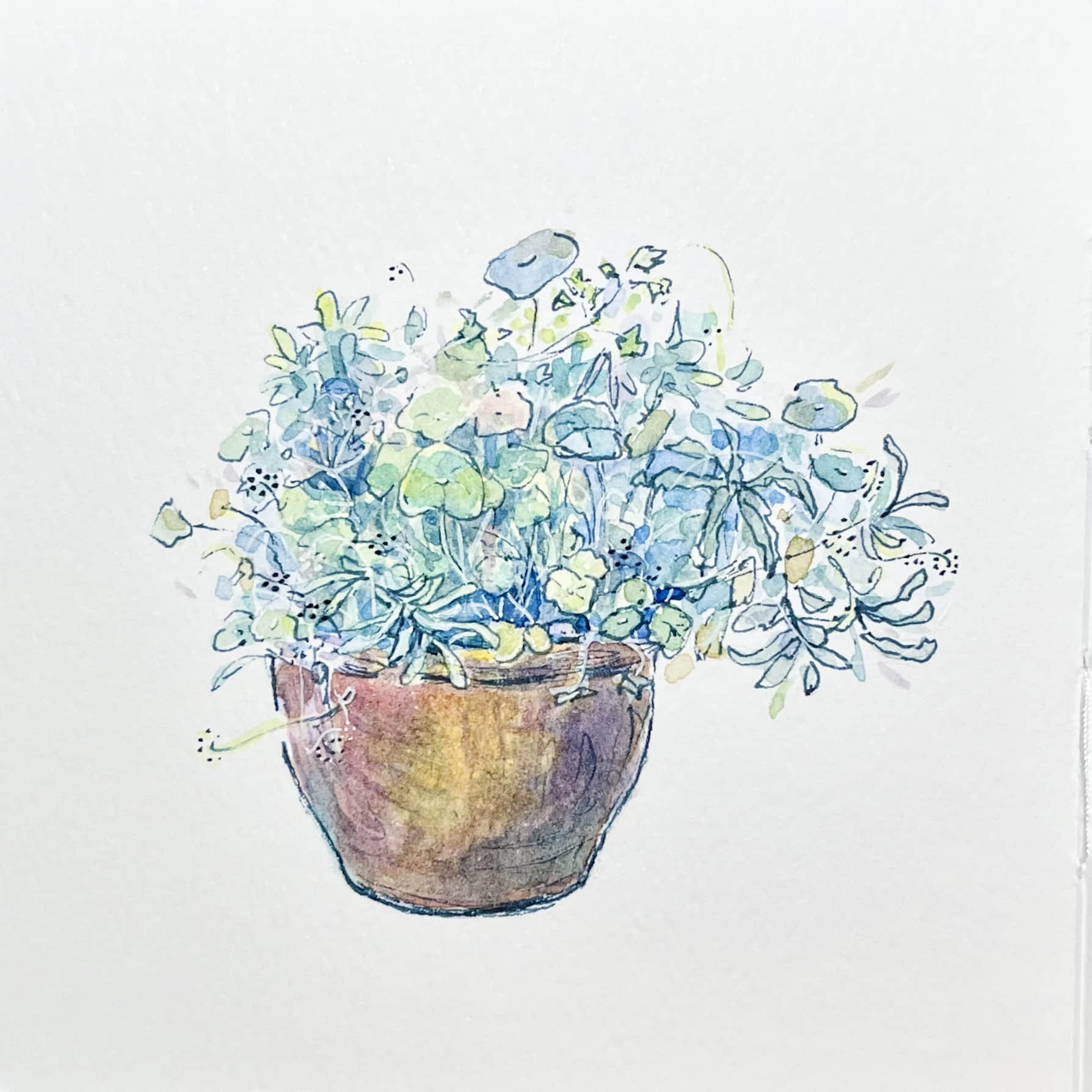 Illustration 12